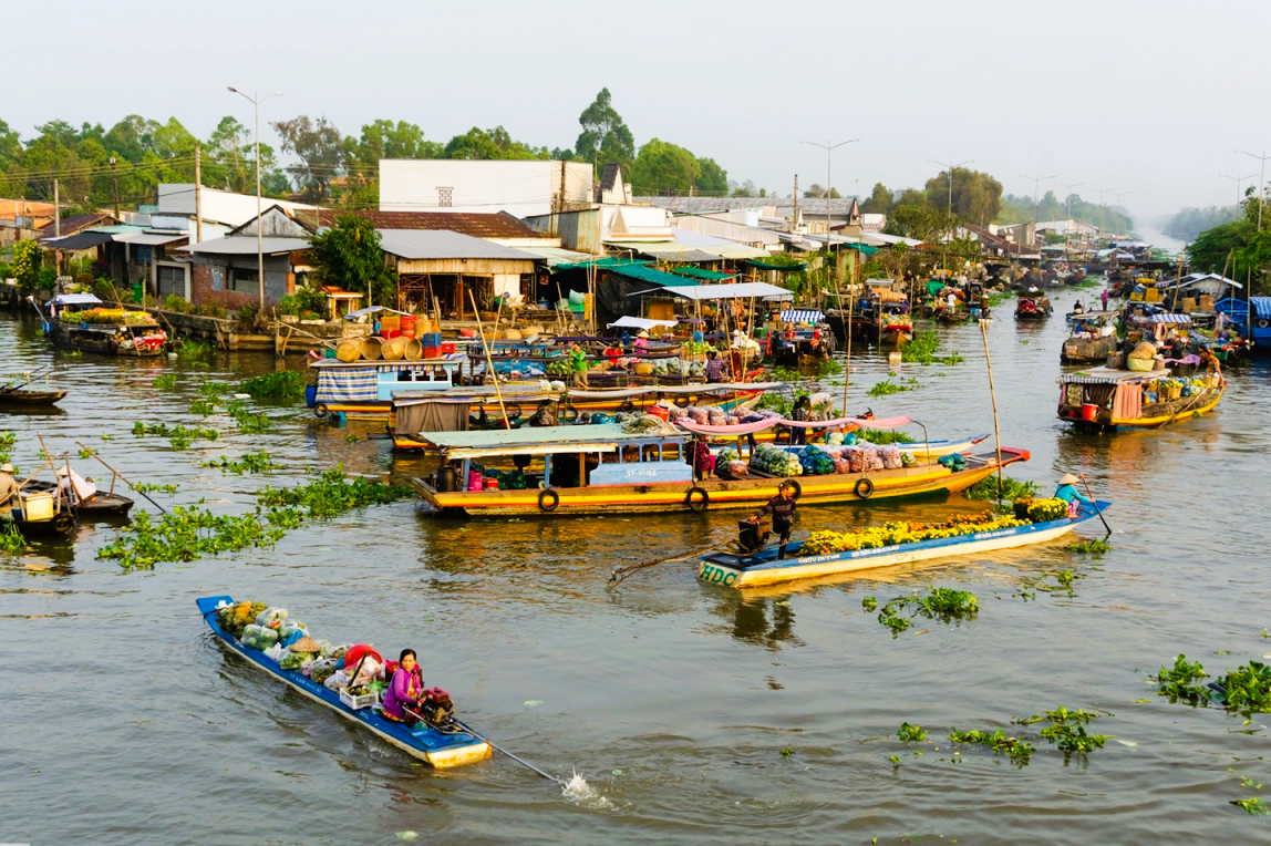 cho-noi-5538-1726823450